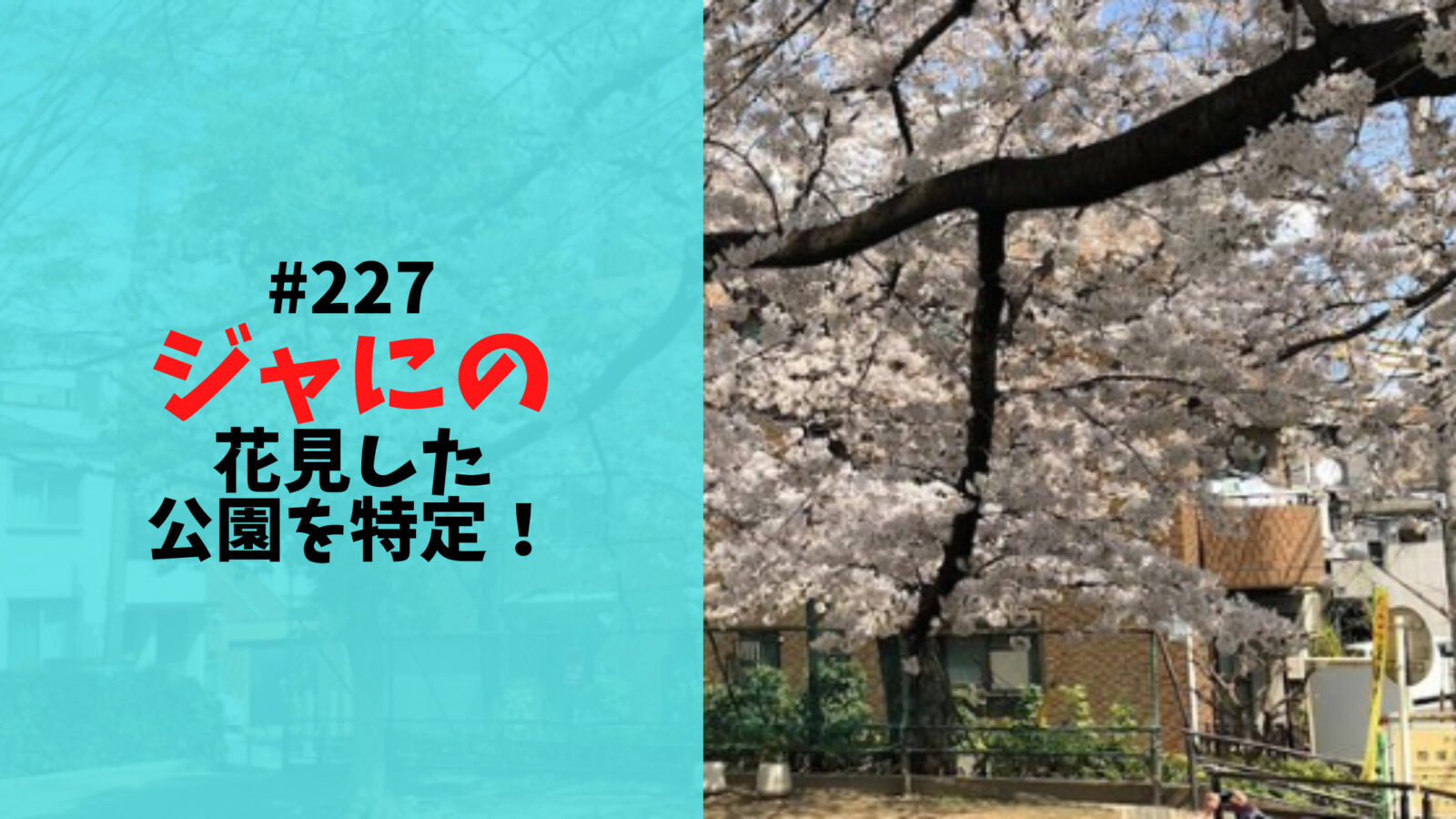 ジャにのちゃんねる#227で花見した公園は笹塚東公園と特定！